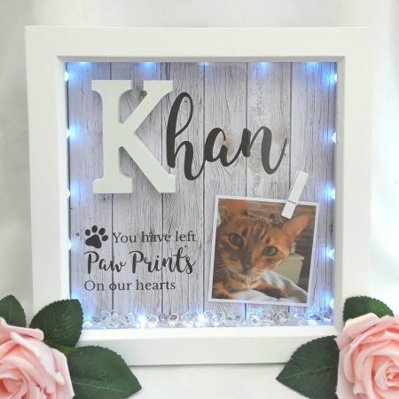 Personalised Pet Loss Frame, Pet Memorial Frame, Pet Loss Gift, LED Pet loss frame