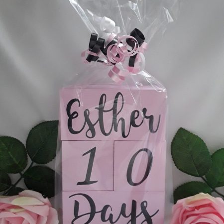 Milestone Baby Wood Blocks, wood blocks, painted milestone blocks, painted name blocks