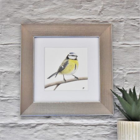 Blue tit - fine art print