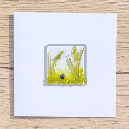 Keepsake fused glass blank card featuring beetle in the long grass with seed heads