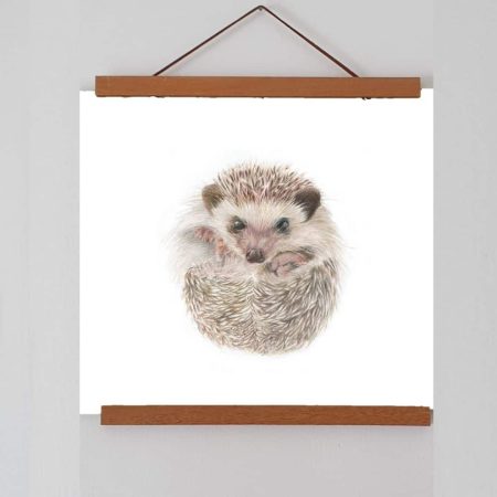 Hedgehog Fine Art Print