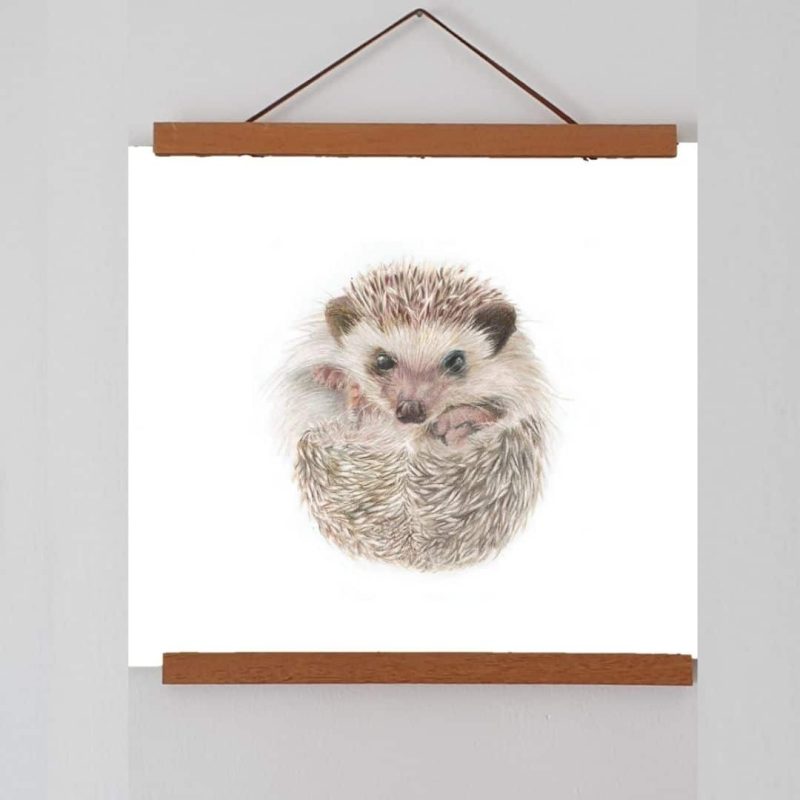 Hedgehog Fine Art Print