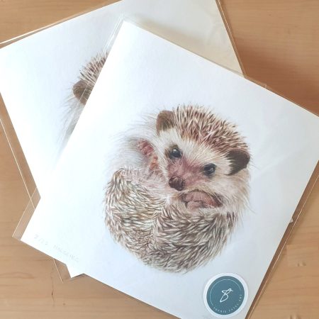Hedgehog Fine Art Print