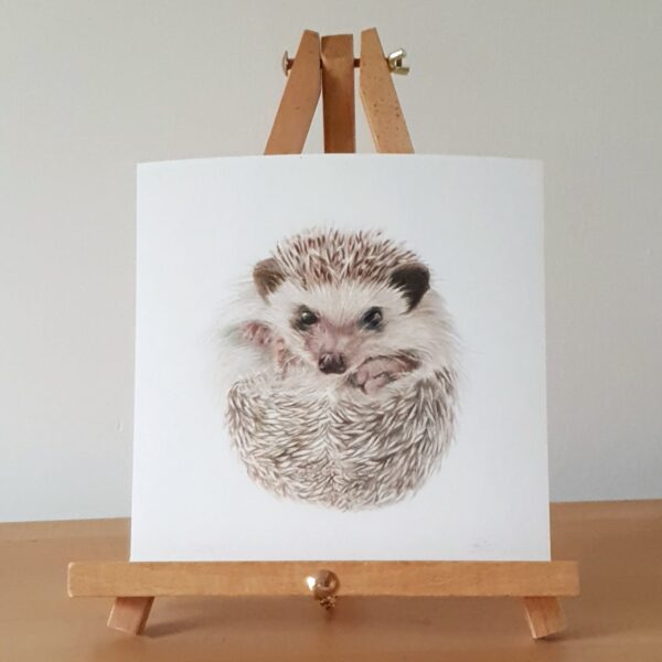 Hedgehog Fine Art Print