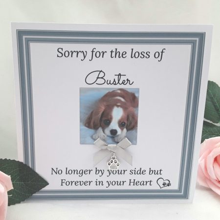 Personalised Pet Loss Frame, Pet Memorial Frame, Pet Loss Gift, LED Pet loss frame