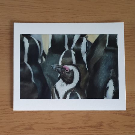 Penguin Wildlife Fine Art Print