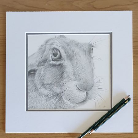 Hare Drawing | Hand drawn British Wildlife Artwork | Graphite | 12 by 12 inches