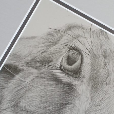 Hare Drawing | Hand drawn British Wildlife Artwork | Graphite | 12 by 12 inches