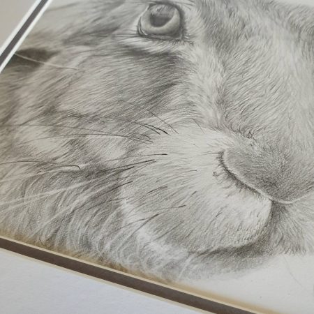 Hare Drawing | Hand drawn British Wildlife Artwork | Graphite | 12 by 12 inches