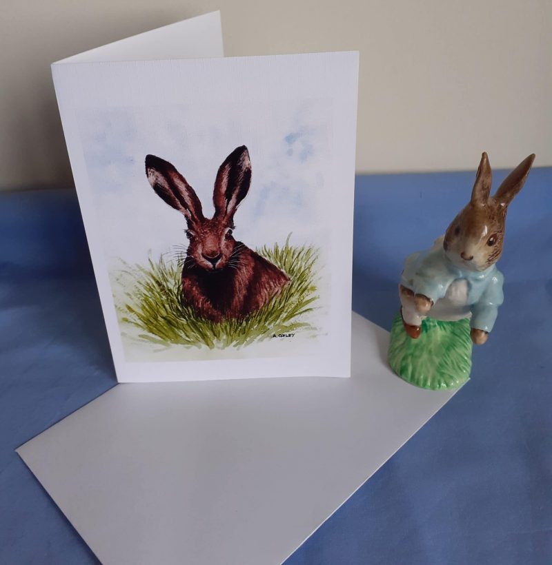 Wildlife Greetings Cards pack 3 different designs with white envelopes