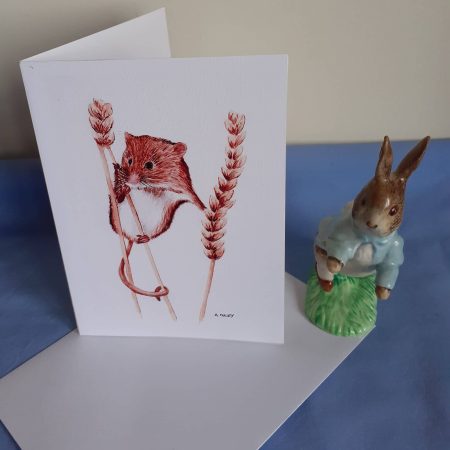 Wildlife Greetings Cards pack 3 different designs with white envelopes