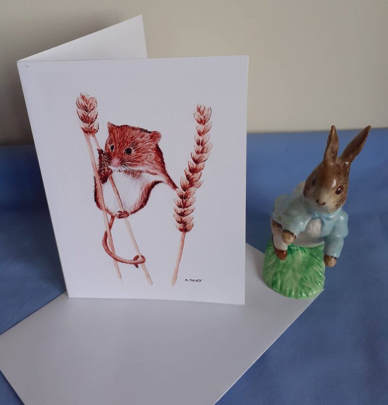 Wildlife Greetings Cards pack 3 different designs with white envelopes