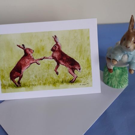 Wildlife Greetings Cards pack 3 different designs with white envelopes