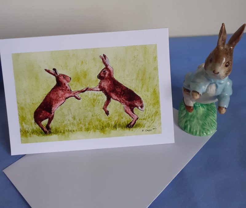 Wildlife Greetings Cards pack 3 different designs with white envelopes