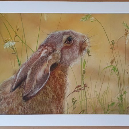Hare Pastel Artwork - original hand drawn piece