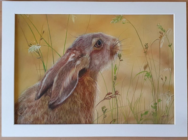 Hare Pastel Artwork - original hand drawn piece