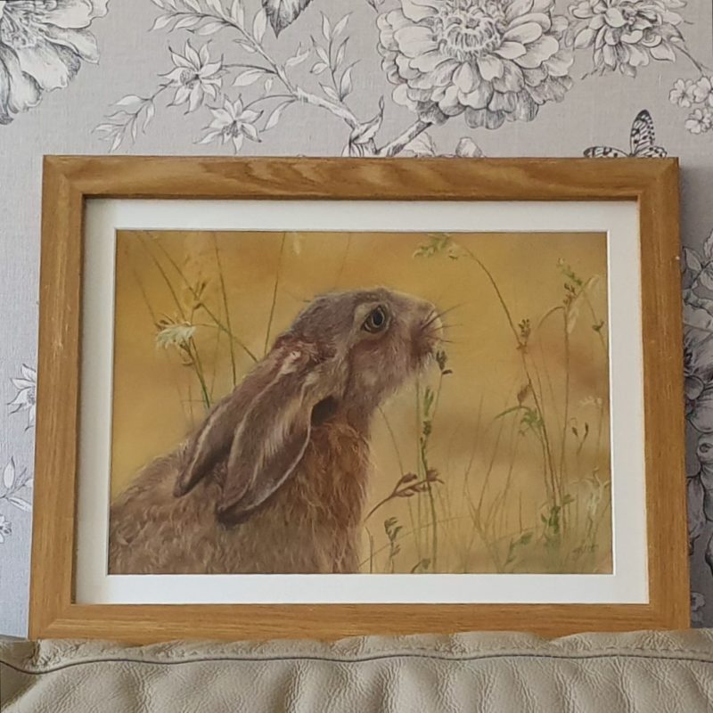 Hare Pastel Artwork - original hand drawn piece