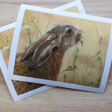 Hare - Stunning Fine Art Print of Original Wildlife Artwork