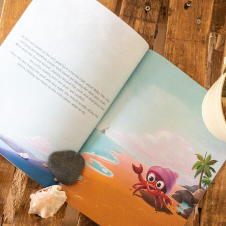 Holly Hermit Crab's New Friends Childrens Picture Book