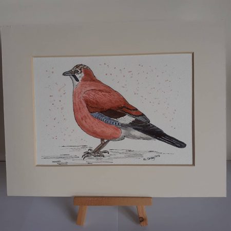 Jay unframed original watercolour.