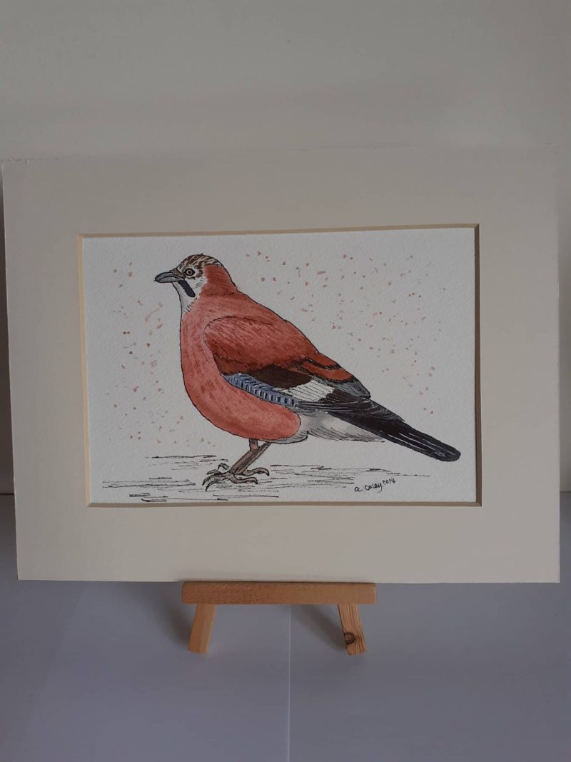 Jay unframed original watercolour.