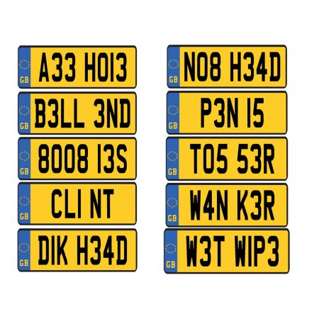 Insult Number Plate Mug Various Designs