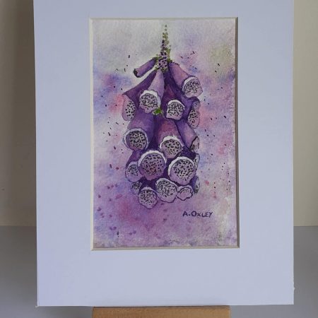 Foxglove framed original watercolour, ready to hang in any room , ideal gift