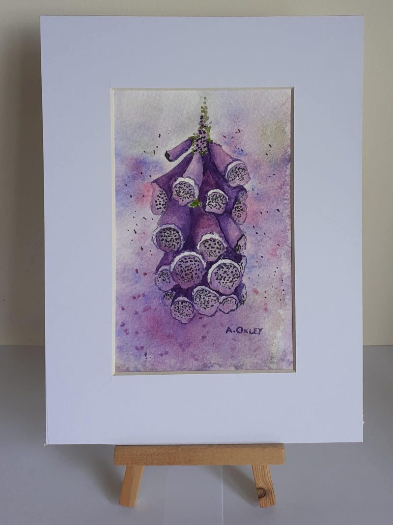 Foxglove framed original watercolour, ready to hang in any room , ideal gift