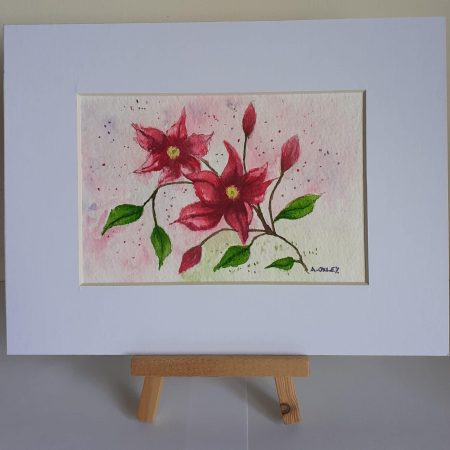 Clematis framed original watercolour , ideal gift and ready to hang on wall or stand on shelf