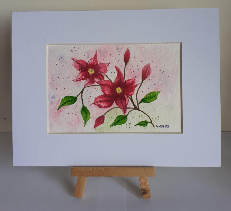 Clematis framed original watercolour , ideal gift and ready to hang on wall or stand on shelf