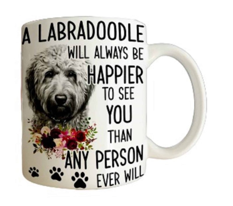 Labradoodle