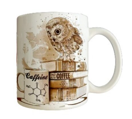 Coffee and Books Owl Mug