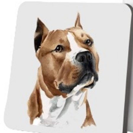 Staffy Mug and Coaster