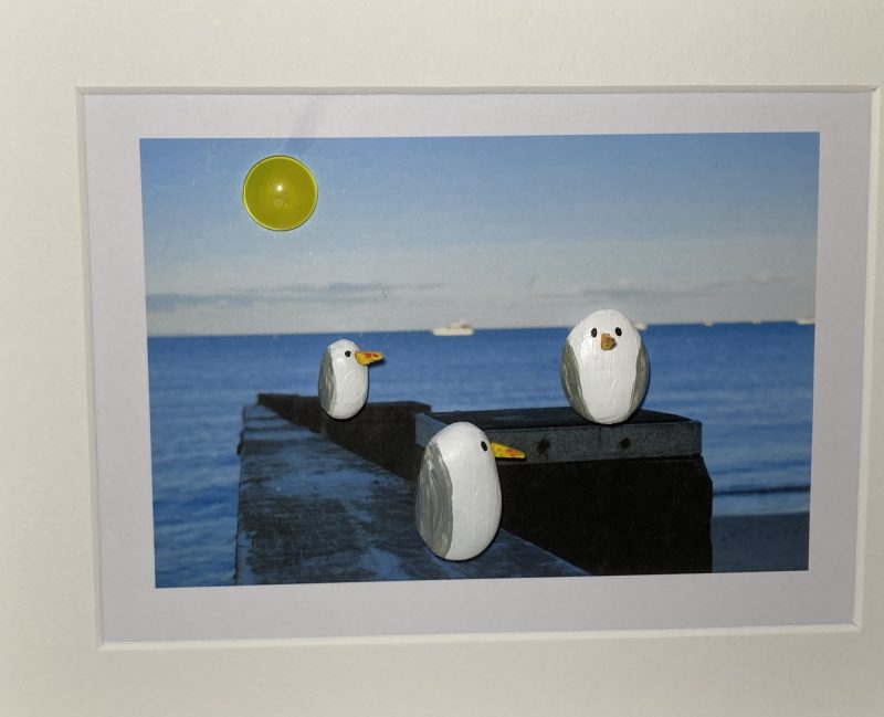 Three Contented Gulls | 3D Pebble Art Framed