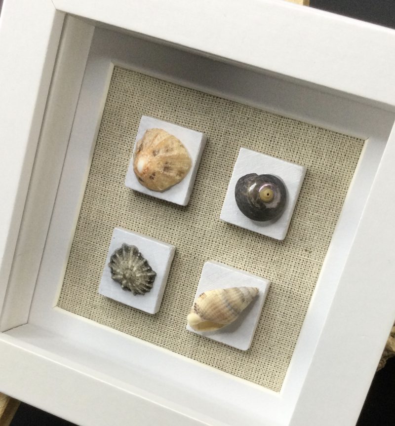 Seashell Quartet | 3D Pebble Art Framed