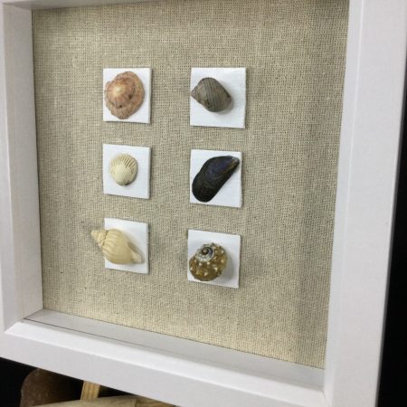 Seashell Assembly | 3D Pebble Art Framed (Copy)