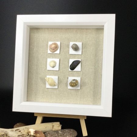 Seashell Assembly | 3D Pebble Art Framed (Copy)