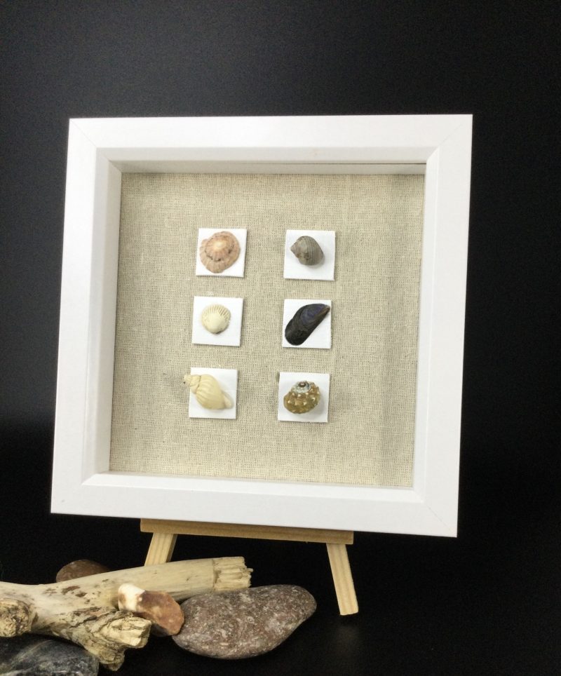 Seashell Assembly | 3D Pebble Art Framed (Copy)