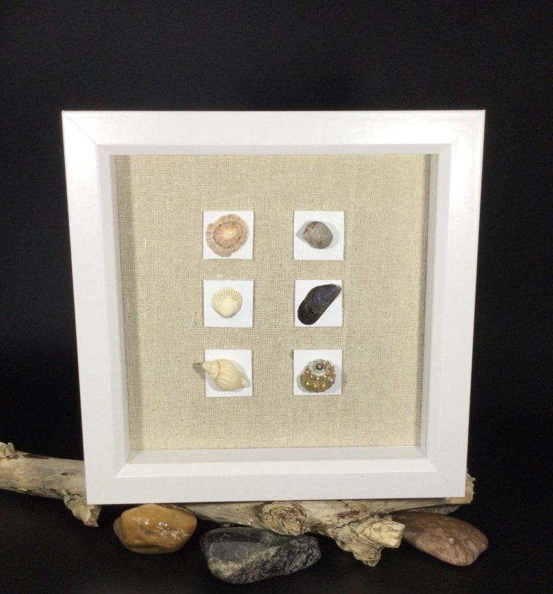 Seashell Assembly | 3D Pebble Art Framed (Copy)