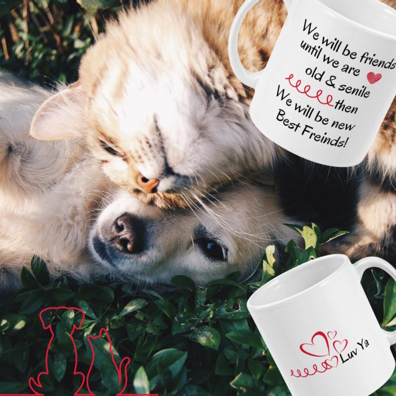 Best Friends/Love Ya - Funny - Custom Print 11oz Ceramic Mug