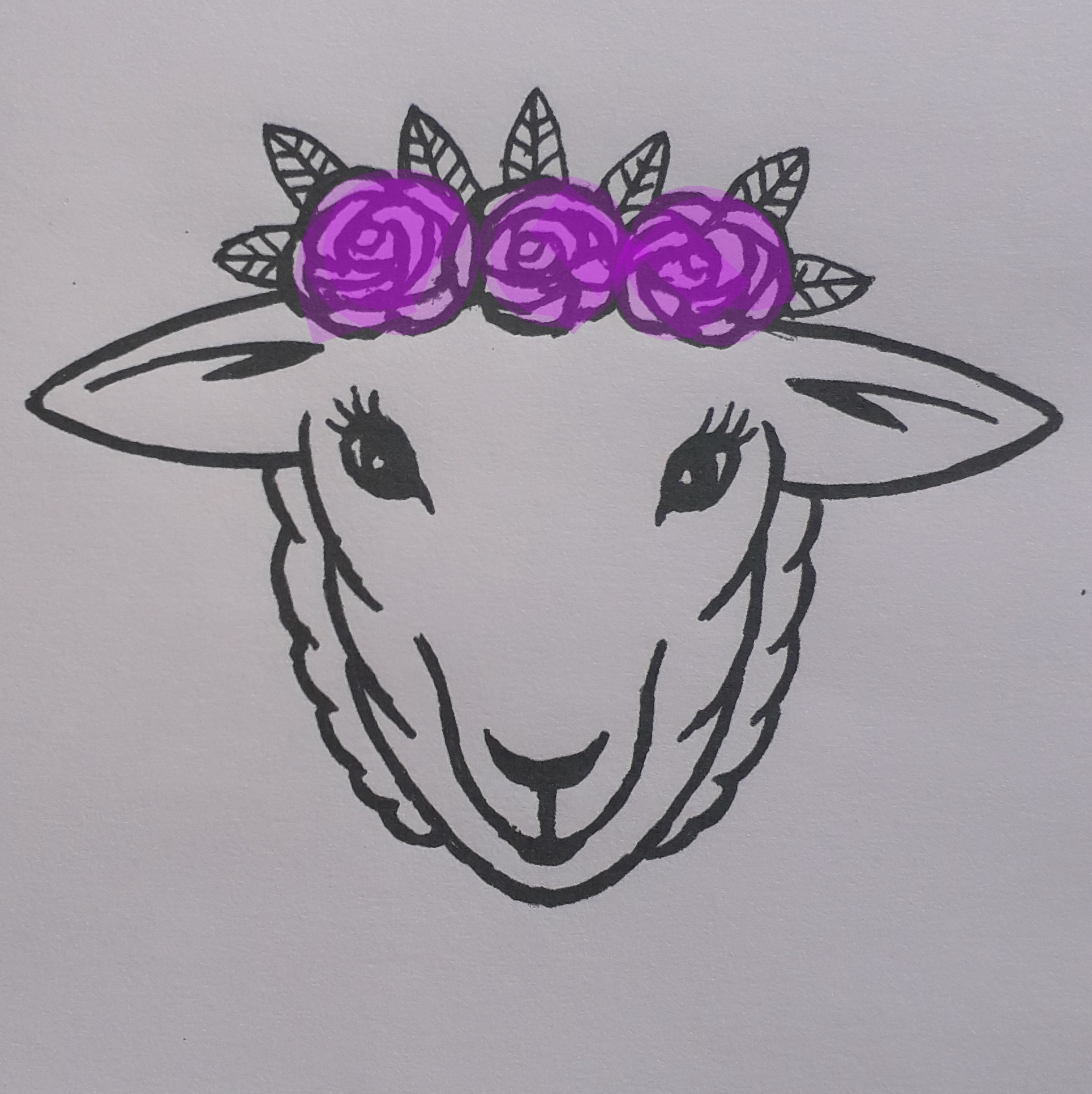 Designed By Eilidh