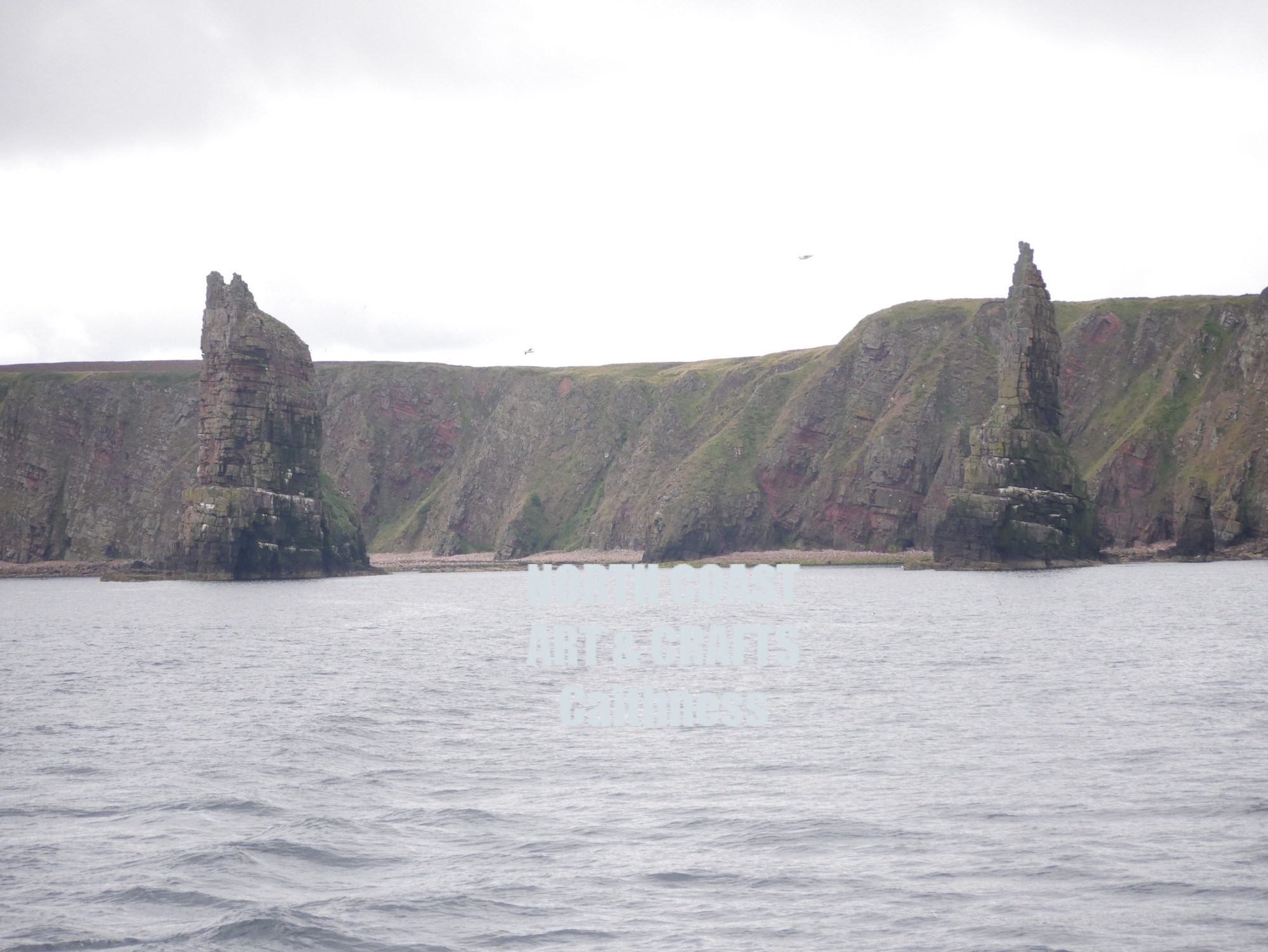 North Coast Art and Crafts