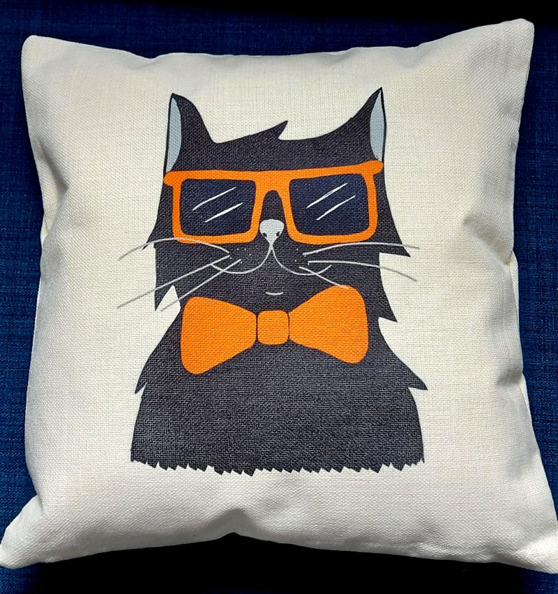 Cool Black Cat Cushion