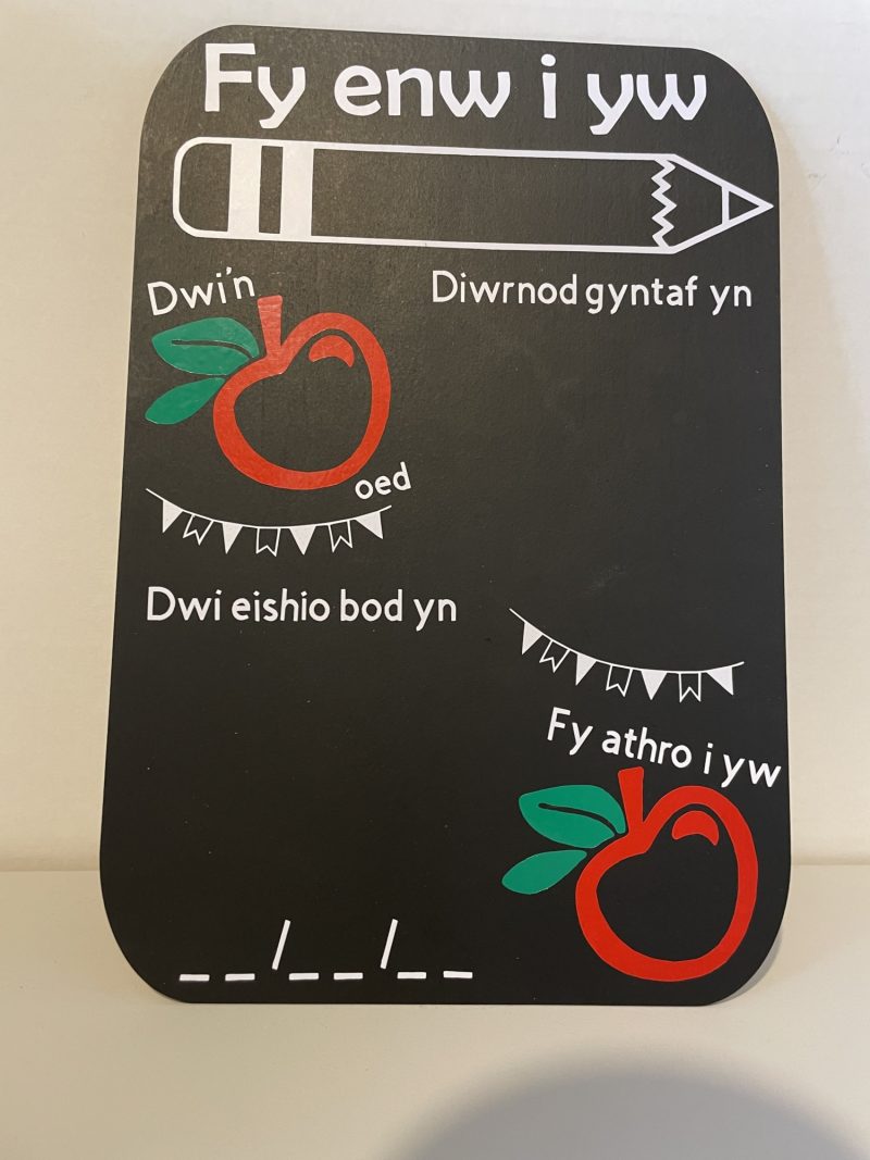 Plaque Diwrnod Gyntaf/First Day plaque