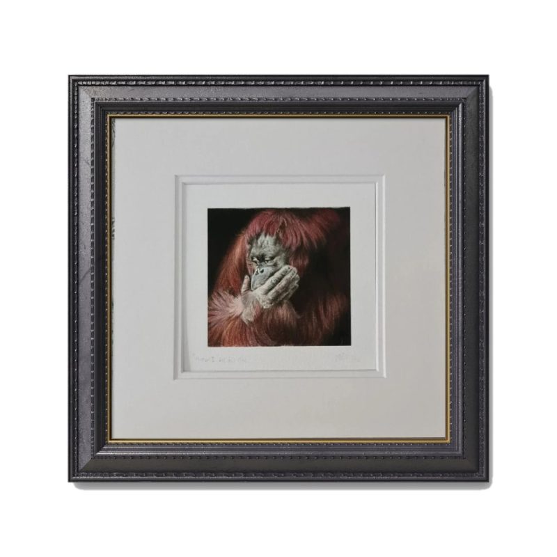 Orangutan Wildlife Fine Art Print
