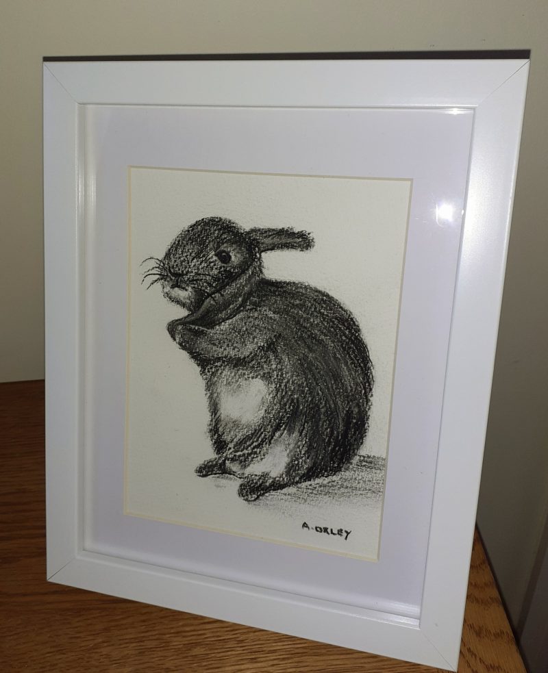 Bunny is an original framed charcoal suitable for any room in the house