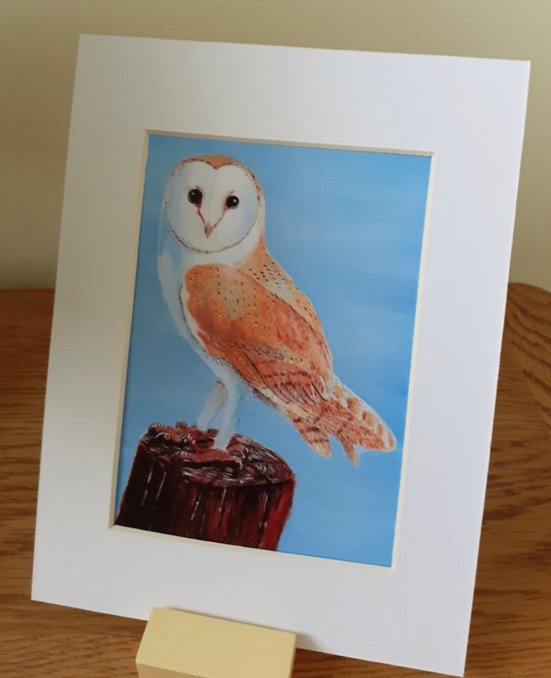 Barn Owl. Print of an original acrylic framed or unframed. Ideal gift.