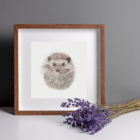 Hedgehog Fine Art Print