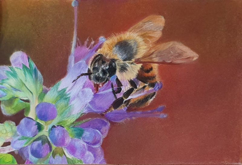 Bee Mini Fine Art Print
