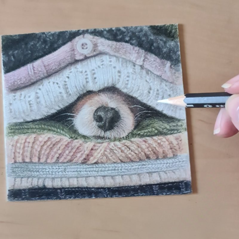 Puppy Nose Fine Art Print